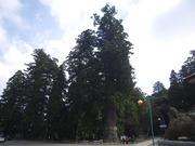 DSCN1298.JPG