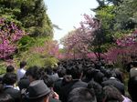 DSCN3712.JPG