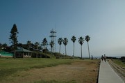 DSC_0342.JPG